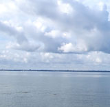 Find more about Weather in Clearwater, FL