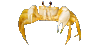 Crab At Rest
